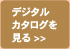 �f�W�^���J�^���O������