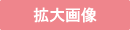 拡大画像