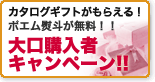 �}�C�v���V���X�M�t�g5�ȏゲ�����Ńv���[���g