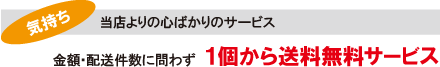 プレシャスポケット特典1
