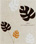 ���]�[�g�u���E��
